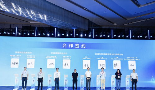 85條供需信息集中發(fā)布，成都開(kāi)源生態(tài)建設(shè)大會(huì)引領(lǐng)軟件技術(shù)推廣新浪潮