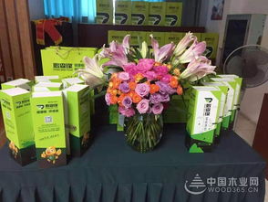 共謀發展，鵬森緣柳州客戶交談會盛大舉行，禮品花卉銷售迎春綻放